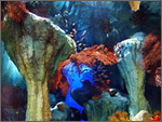 サンシャイン水族館の写真