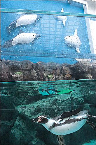 マリンピア松島水族館の写真