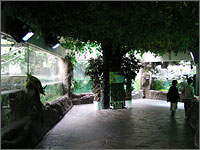 マリンピア松島水族館の写真