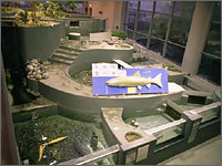 標津サーモン科学館の写真