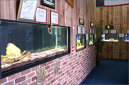 すさみ海立エビとカニの水族館の写真