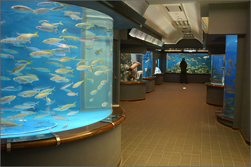 玉野海洋博物館の写真
