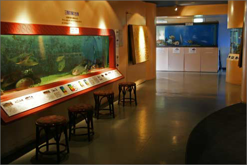 陸前高田市海と貝のミュージアムの写真