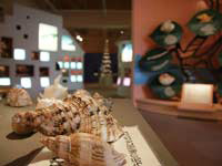 陸前高田市海と貝のミュージアムの写真