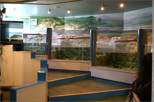 山方淡水魚館の写真